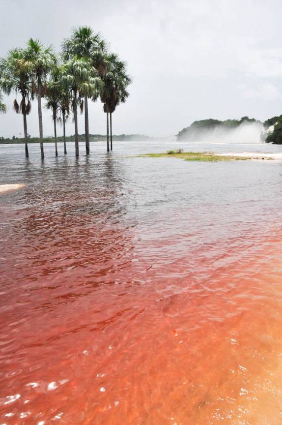 A água avermelhada de Canaima, no sul da Venezuela